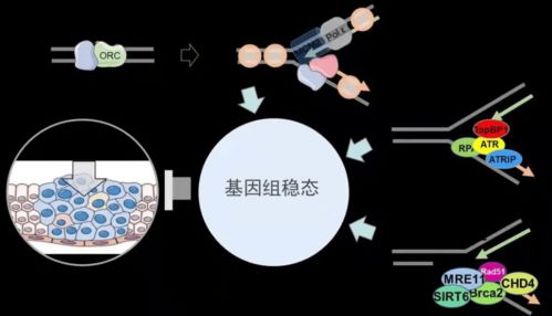 实力彰显 2020年深大获三项国家自然科学基金重大类项目资助，自然科学研究迈上新台阶